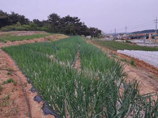 박태현님의 자유주제 · 자유게시판 작성글 사진