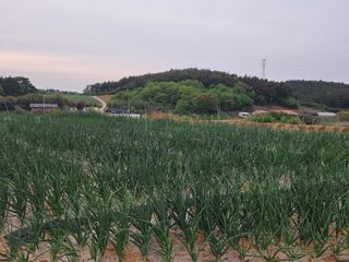 박태현님의 자유주제 · 자유게시판 작성글 사진