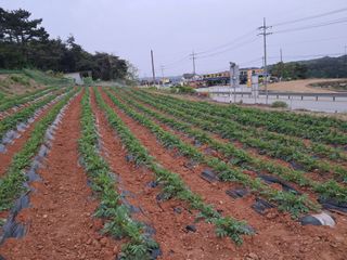박태현님의 자유주제 · 자유게시판 작성글 사진