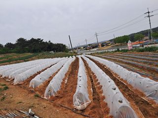 박태현님의 자유주제 · 자유게시판 작성글 사진