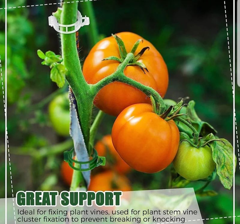 장터 상품 [원형 클립100백개] 썸네일