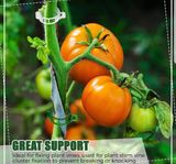 팜모닝 · 게시글 이미지