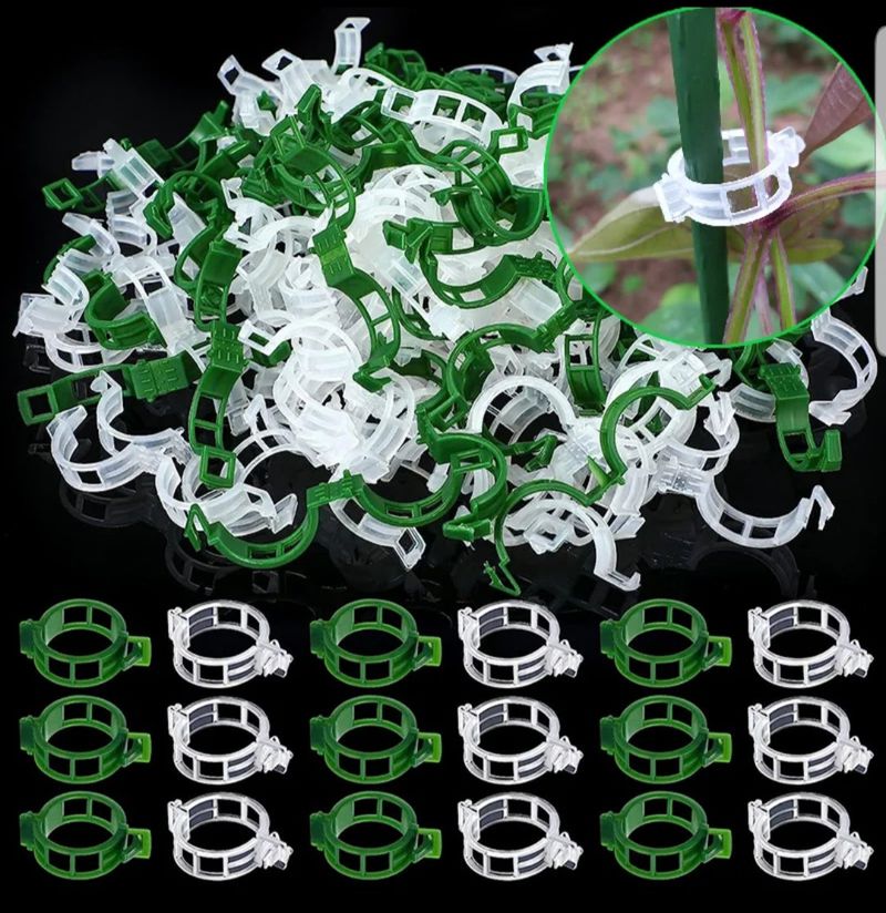 바이털사인님의 장터 판매 상품 [원형 클립100백개] 첨부 사진