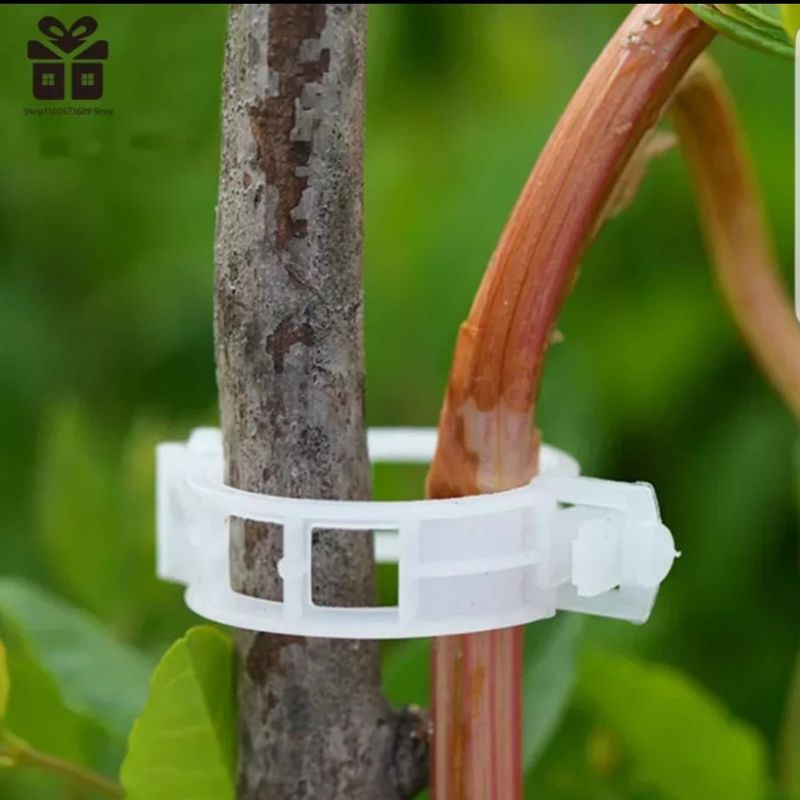 바이털사인님의 장터 판매 상품 [원형 클립100백개] 첨부 사진