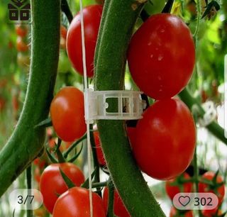 바이털사인님의 작성글 사진