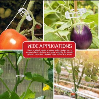 바이털사인님의 작성글 사진