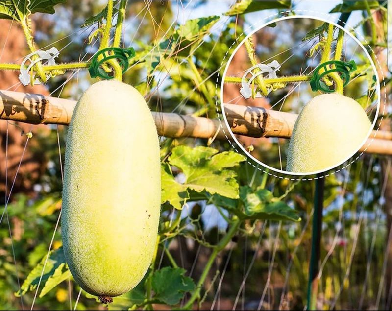 바이털사인님의 장터 판매 상품 [원형 클립100백개] 첨부 사진