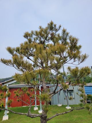 정찬길 님의 농사, 무엇이든 물어보세요! · 참여글 작성글 사진
