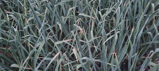 박우형님의 자유주제 · 자유게시판 작성글 사진