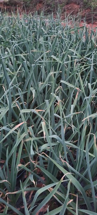 박우형님의 자유주제 · 자유게시판 작성글 사진