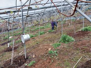 영수농원님의 5월 농사계획 공유하기 · 참여글 작성글 사진