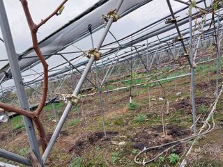 영수농원님의 5월 농사계획 공유하기 · 참여글 작성글 사진