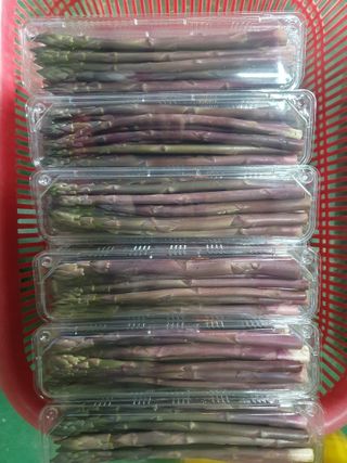 김현정님의 기타작물 · 영농일지 작성글 사진