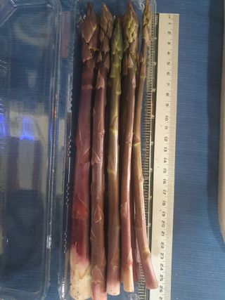 김현정님의 기타작물 · 영농일지 작성글 사진