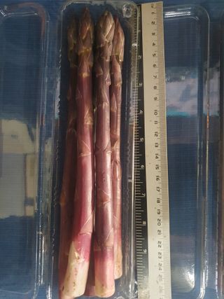 김현정님의 기타작물 · 영농일지 작성글 사진