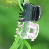 팜모닝 · 게시글 이미지