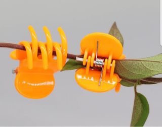 바이털사인님의 작성글 사진