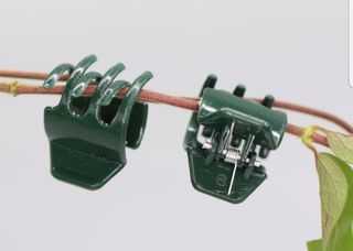 바이털사인님의 작성글 사진