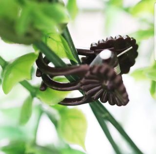 바이털사인님의 작성글 사진