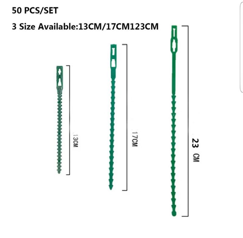 장터 상품 [식물 케이불 타이] 썸네일