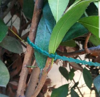 바이털사인님의 작성글 사진