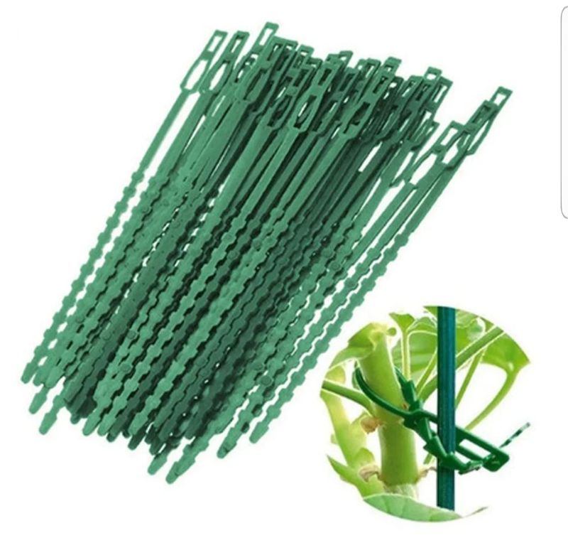 바이털사인님의 장터 판매 상품 [식물 케이불 타이] 첨부 사진