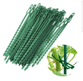 바이털사인님의 작성글 사진