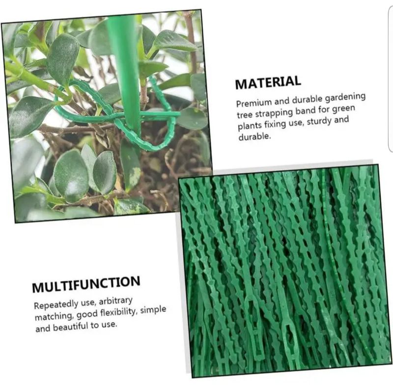 바이털사인님의 장터 판매 상품 [식물 케이불 타이] 첨부 사진