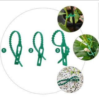 바이털사인님의 작성글 사진