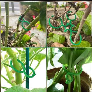 바이털사인님의 작성글 사진