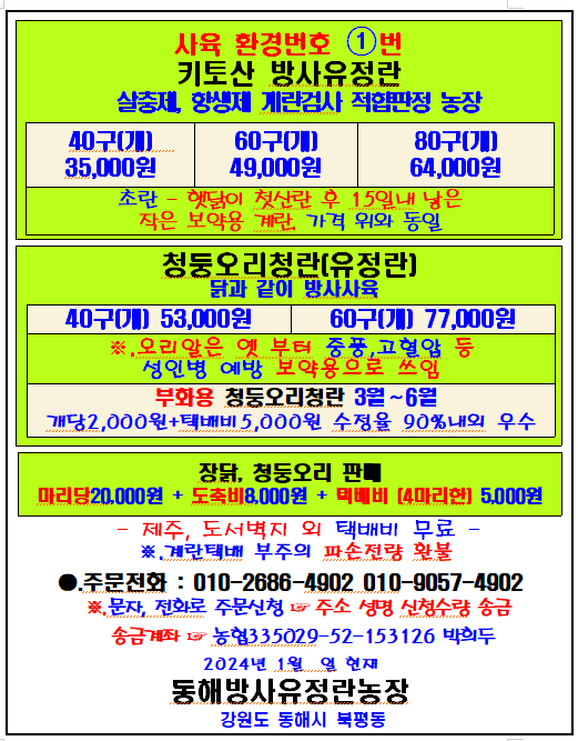 장터 상품 [방사유정란.60구49,000원] 썸네일