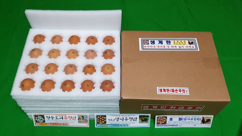 계초님의 장터 판매 상품 [방사유정란.60구49,000원] 첨부 사진