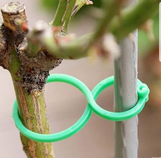 바이털사인님의 작성글 사진