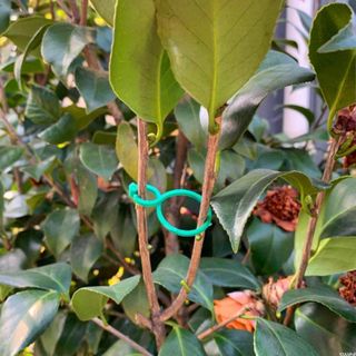 바이털사인님의 작성글 사진