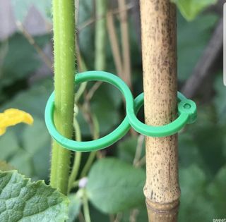 바이털사인님의 작성글 사진