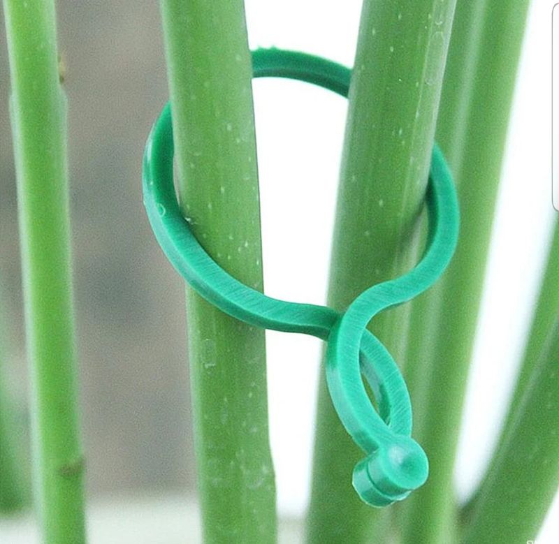 바이털사인님의 장터 판매 상품 [덩굴8자형클립100개] 첨부 사진