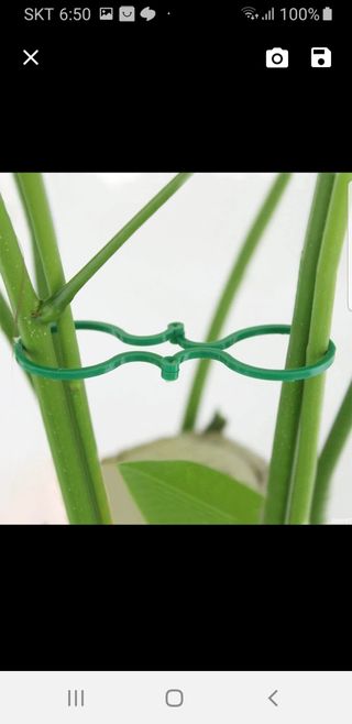 바이털사인님의 작성글 사진