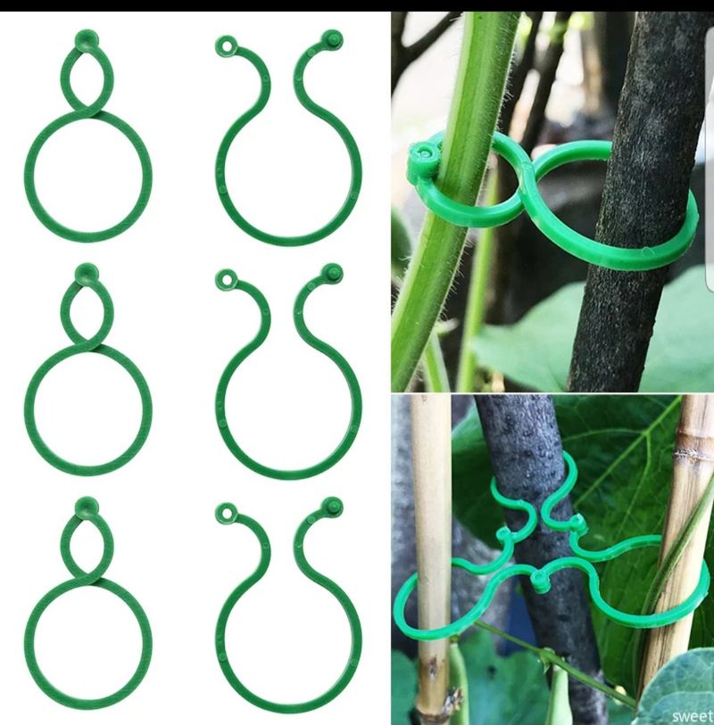 바이털사인님의 장터 판매 상품 [덩굴8자형클립100개] 첨부 사진