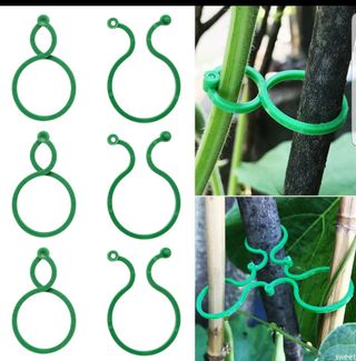 바이털사인님의 작성글 사진