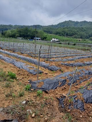 이미자님의 자유주제 · 자유게시판 작성글 사진