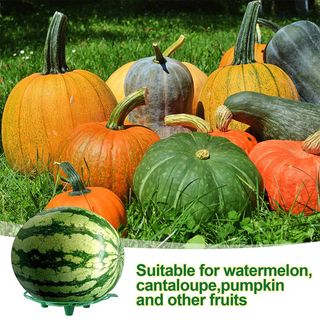 바이털사인님의 작성글 사진