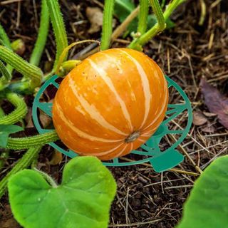 바이털사인님의 작성글 사진