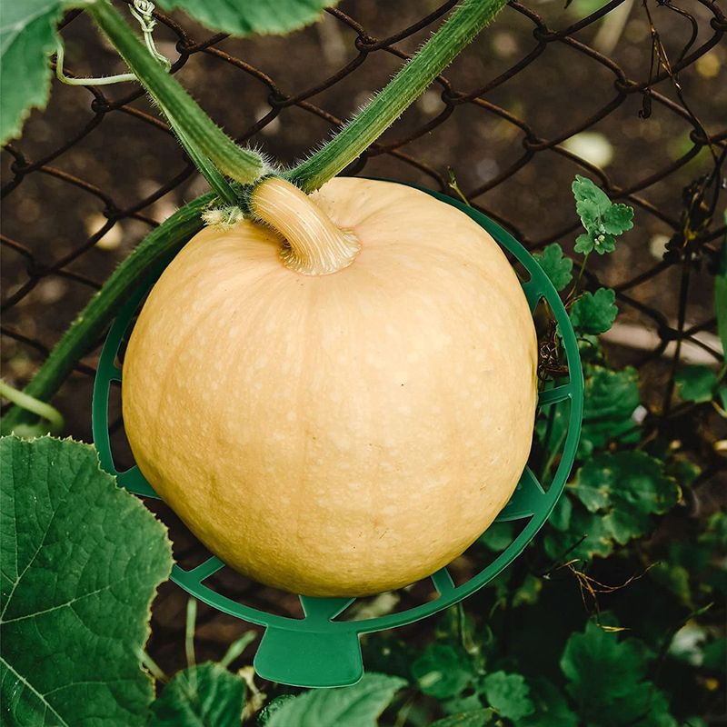 바이털사인님의 장터 판매 상품 [수박 호박 받침대 5개이상배송] 첨부 사진