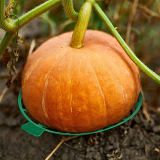 바이털사인님의 작성글 사진