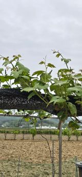 팜모닝 5월 농사계획 공유하기·참여글 게시글 이미지