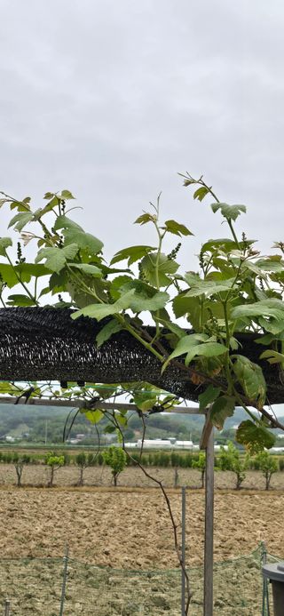 청산님의 5월 농사계획 공유하기 · 참여글 작성글 사진