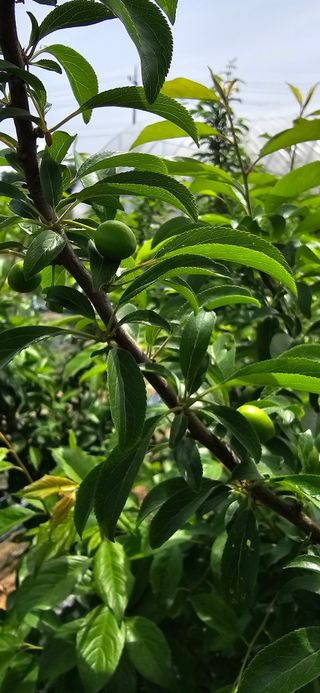 청산님의 5월 농사계획 공유하기 · 참여글 작성글 사진