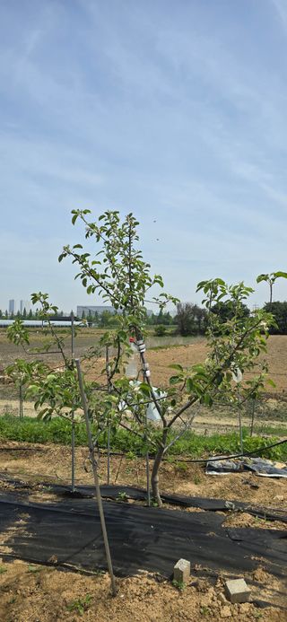청산님의 5월 농사계획 공유하기 · 참여글 작성글 사진