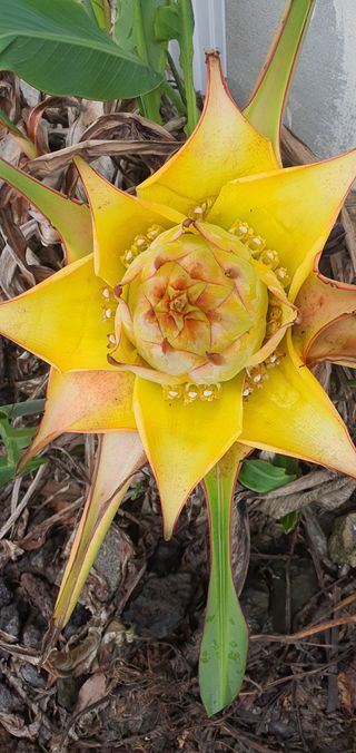 팔코스님의 자유주제 · 자유게시판 작성글 사진