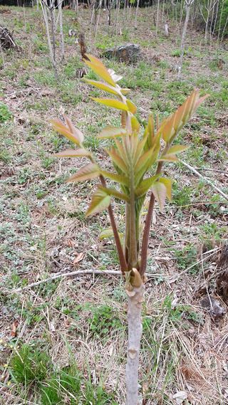 인생은 소풍처럼님의 작성글 사진